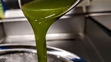 L'olio extravergine d'oliva vince la sfida del più SANO