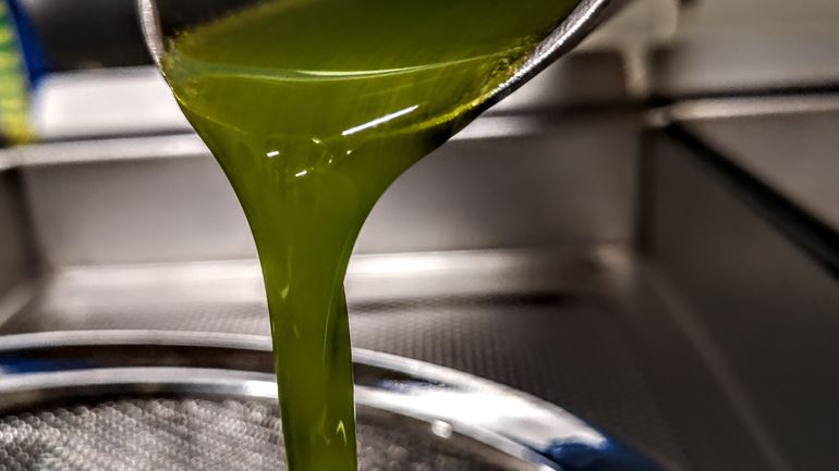 L'olio extravergine d'oliva vince la sfida del più SANO