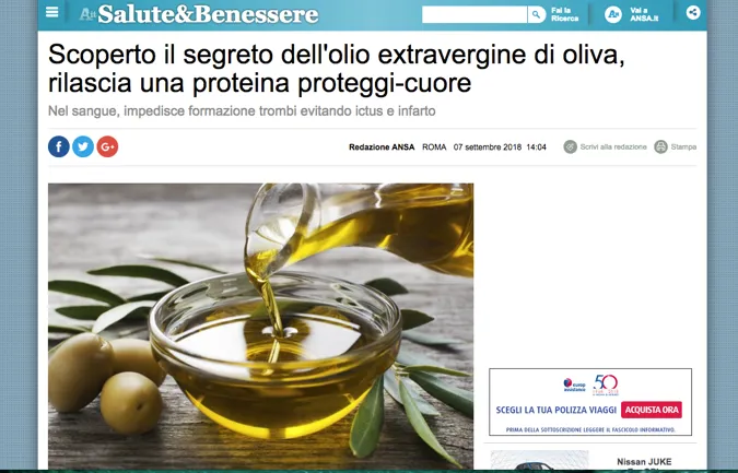 Scoperto il segreto dell'extravergine, rilascia una proteina protettiva